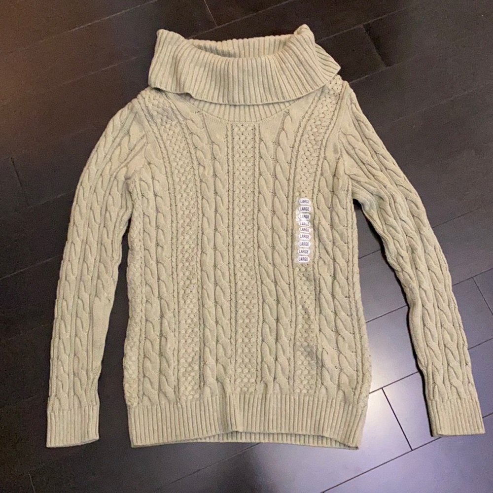 Light Green Jeanne Pierre Turtleneck Sweater NWT